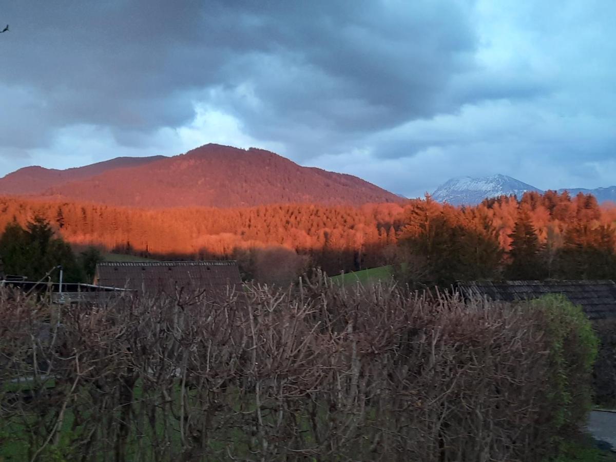 Haus Mit Bergblick Villa Siegsdorf Luaran gambar