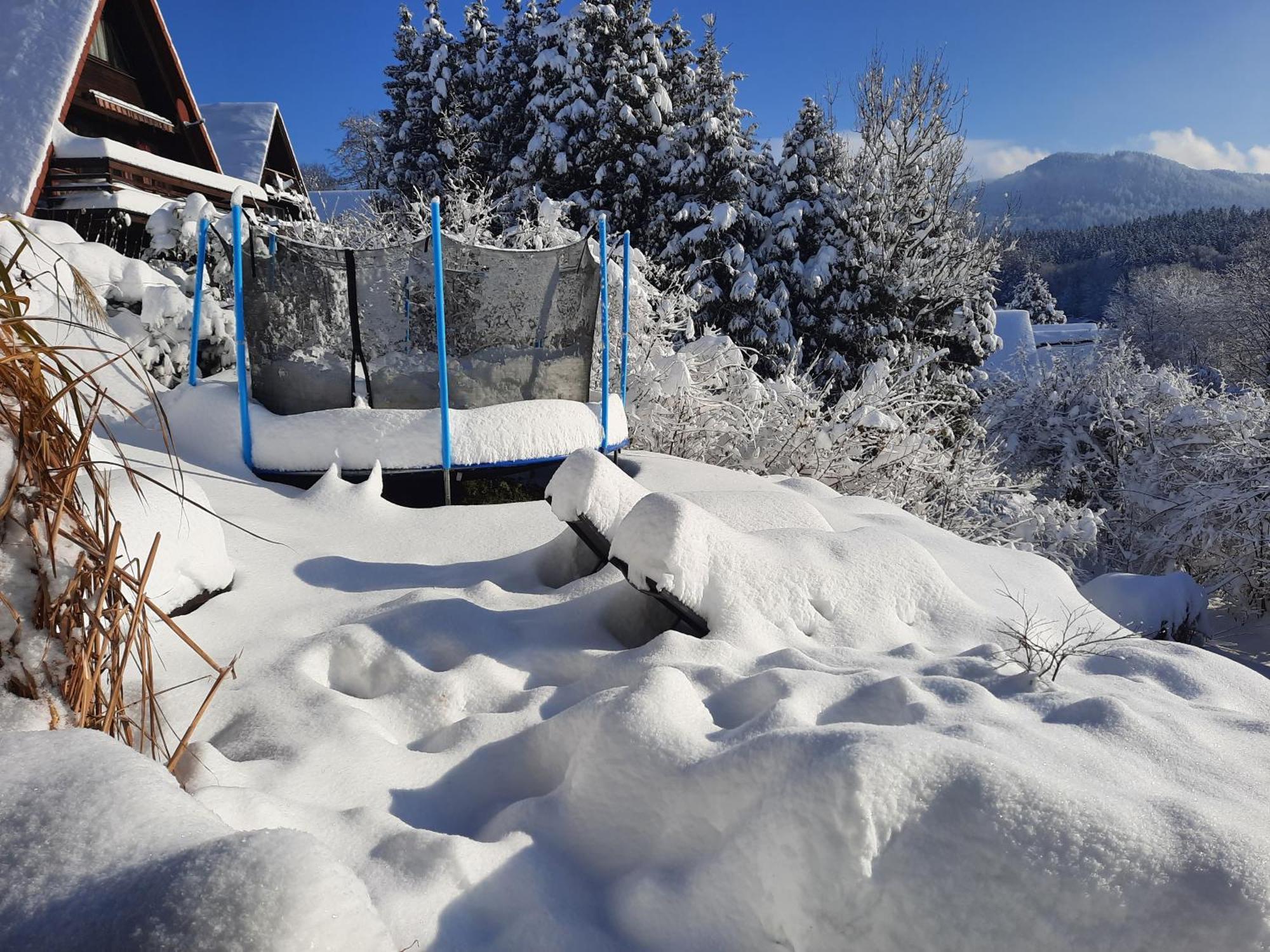 Haus Mit Bergblick Villa Siegsdorf Luaran gambar